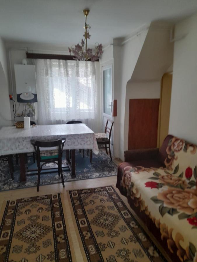Apartament Retro-Relax Sinaia Bagian luar foto