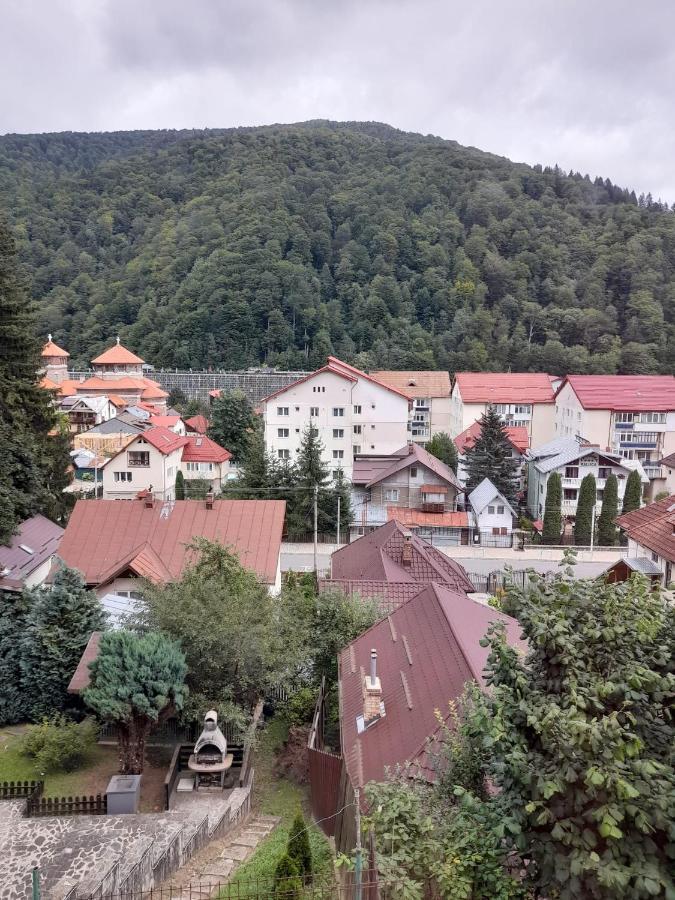 Apartament Retro-Relax Sinaia Bagian luar foto